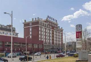 竹子平面图手绘